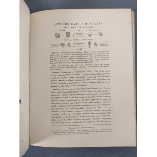 66 - WITHERING WILLIAM.  A Systematic Arrangement of British Plants. 4 vols. Fldg. & other ... 