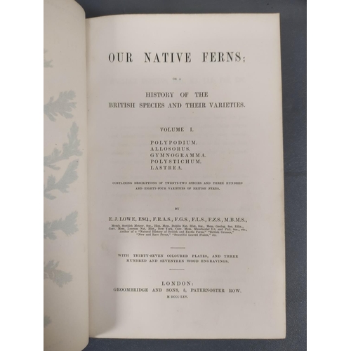 68 - LOWE E. J.  Our Native Ferns. 2 vols. Col. plates & text illus. Orig. half green morocco, some r... 