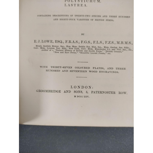 68 - LOWE E. J.  Our Native Ferns. 2 vols. Col. plates & text illus. Orig. half green morocco, some r... 