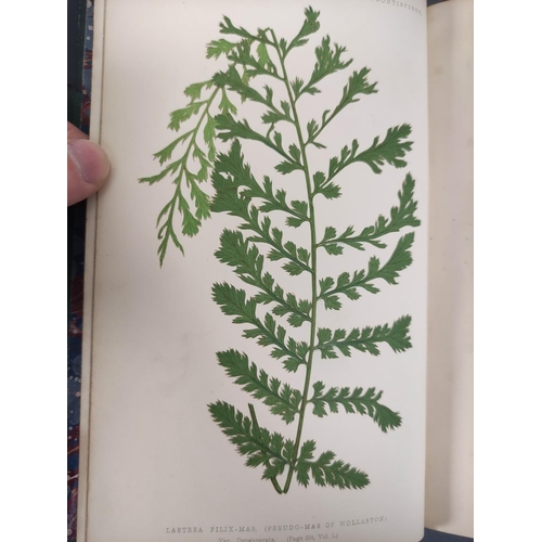 68 - LOWE E. J.  Our Native Ferns. 2 vols. Col. plates & text illus. Orig. half green morocco, some r... 