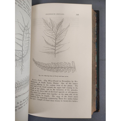 68 - LOWE E. J.  Our Native Ferns. 2 vols. Col. plates & text illus. Orig. half green morocco, some r... 