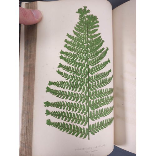 68 - LOWE E. J.  Our Native Ferns. 2 vols. Col. plates & text illus. Orig. half green morocco, some r... 