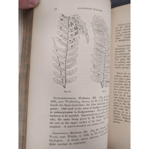 68 - LOWE E. J.  Our Native Ferns. 2 vols. Col. plates & text illus. Orig. half green morocco, some r... 