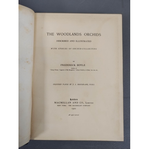 69 - BOYLE FREDERICK.  The Woodlands Orchids Described & Illustrated. Col. plates. Quarto. ... 