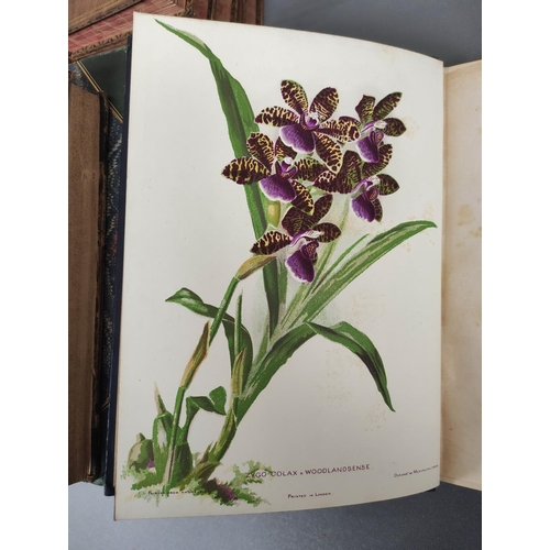 69 - BOYLE FREDERICK.  The Woodlands Orchids Described & Illustrated. Col. plates. Quarto. ... 