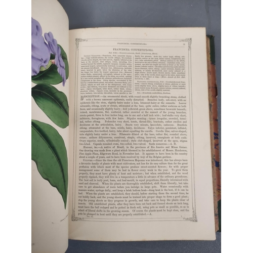 70 - MOORE T. & AYRES W. P.  The Gardeners' Magazine of Botany. Good col. & other plate... 