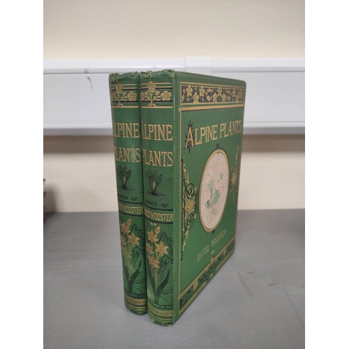 71 - WOOSTER DAVID.  Alpine Plants. 2 vols. (First & Second Series). Many col. plates. Large 8vo. Ori... 