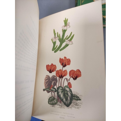 71 - WOOSTER DAVID.  Alpine Plants. 2 vols. (First & Second Series). Many col. plates. Large 8vo. Ori... 