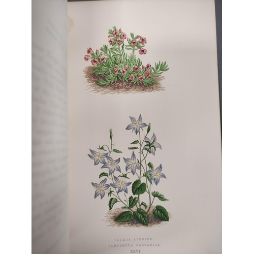 71 - WOOSTER DAVID.  Alpine Plants. 2 vols. (First & Second Series). Many col. plates. Large 8vo. Ori... 