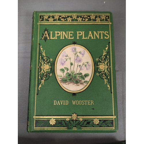 71 - WOOSTER DAVID.  Alpine Plants. 2 vols. (First & Second Series). Many col. plates. Large 8vo. Ori... 