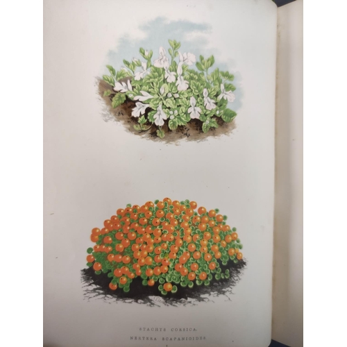 71 - WOOSTER DAVID.  Alpine Plants. 2 vols. (First & Second Series). Many col. plates. Large 8vo. Ori... 