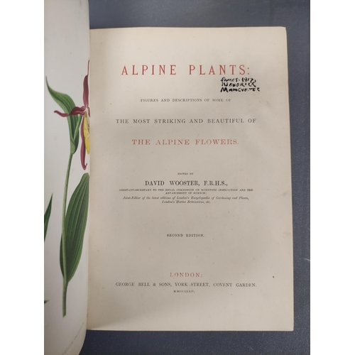 71 - WOOSTER DAVID.  Alpine Plants. 2 vols. (First & Second Series). Many col. plates. Large 8vo. Ori... 