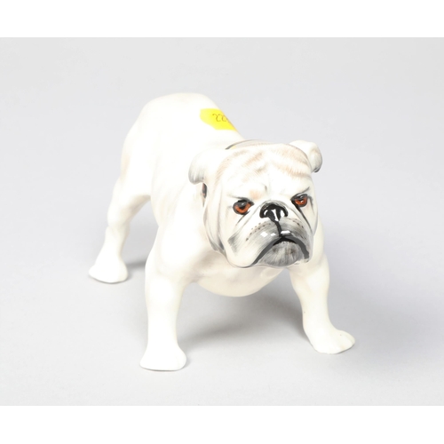 24 - Royal Doulton porcelain standing bulldog; HN1074; 8cm high