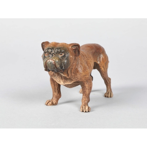 189 - 19th / early 20th century cold painted model of a standing bulldog; 5.5cm high