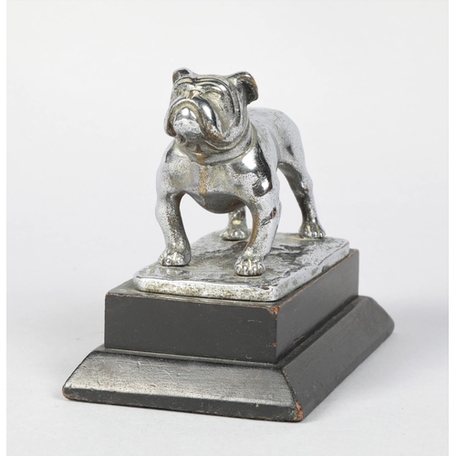 193 - 20th century chrome plated model of a standing bull dog; raised on plinth base; 9.5cm high