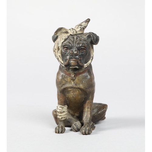 197 - 19th / 20th century cold painted bronze model of a seated bull dog; 8.5cm high