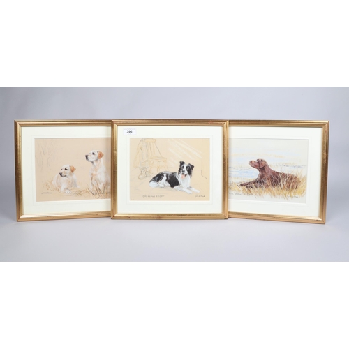 396 - Gill Evans; three pencil signed limited prints; Assorted Dogs; each framed; 30cm x 35cm