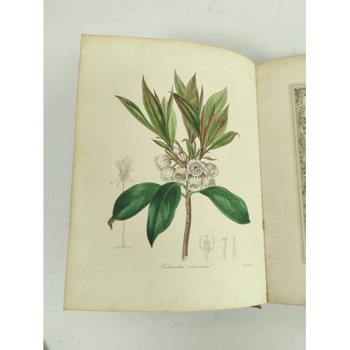 64 - MAUND B.  The Botanist. Eng. title. 86 hand col. plates (vol. 1 complete & part vol. 2 in one, s... 