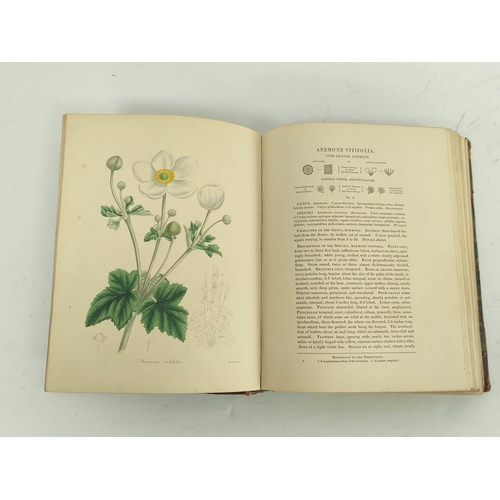 64 - MAUND B.  The Botanist. Eng. title. 86 hand col. plates (vol. 1 complete & part vol. 2 in one, s... 