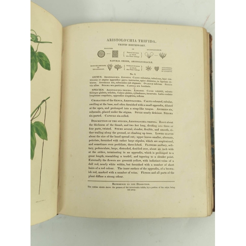 64 - MAUND B.  The Botanist. Eng. title. 86 hand col. plates (vol. 1 complete & part vol. 2 in one, s... 