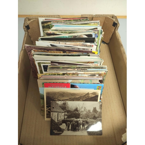 217 - Box containing approximately 500 postcards relating to wildlife dating predominantly from the 1950s-... 