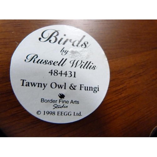79 - Border Fine Arts group, 'Tawny Owl and Fungi' by Russell Willis, no. 48331, and another of an owl pe... 