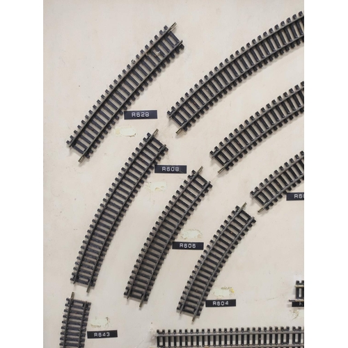 75 - Hornby Railways track display board detailing the gauges and reference numbers of each track compone... 