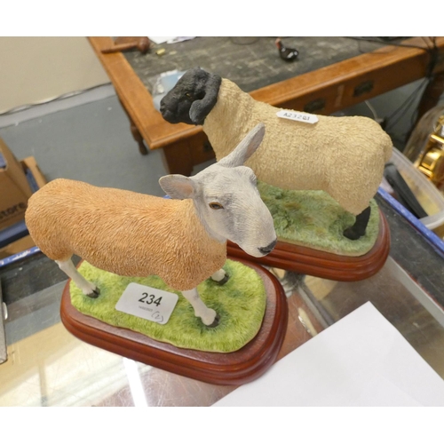 234 - Two Border Fine Arts figures of sheep; 'Blue Faced Leicester Ram' A0737 and 'Suffolk Ram' A0735. (2)... 