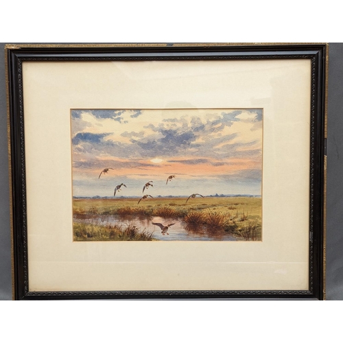 203 - JOHN CYRIL HARRISON (1898-1985) *ARR* Early Comers (Mallard) Watercolour, signed lower right, 23cm x... 