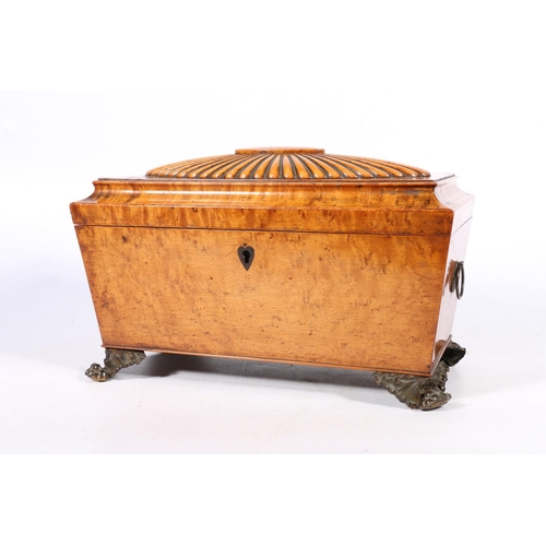 262 - Victorian burr walnut tea caddy, with reeded hinged top enclosing three original compartments, with ... 