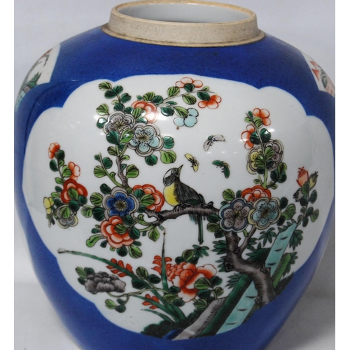 172 - 19th century Chinese famille verte ginger jar with floral panels, birds and wreaths on a powder blue... 