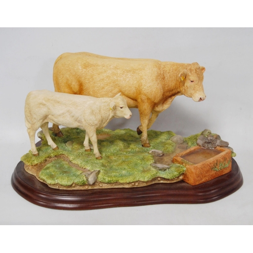 275 - Border Fine Arts group, 'Blonde D'Aquitaine' cow and calf from the Farming Today range, A9776, on na... 