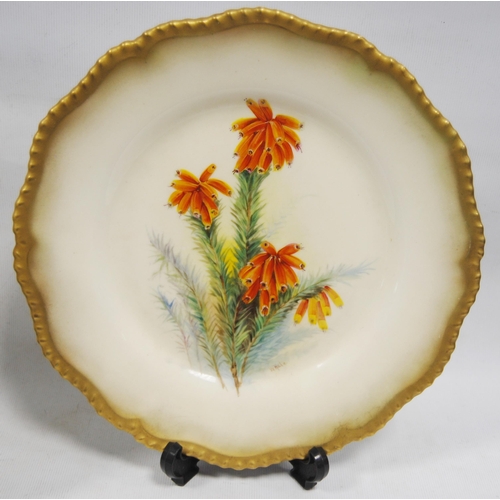 259 - Royal Worcester porcelain botanical cabinet plate, signed W Hale, c. early 20th century, with hand-p... 