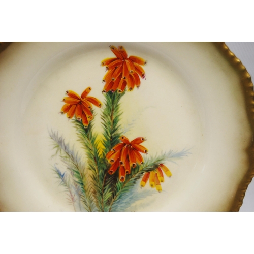 259 - Royal Worcester porcelain botanical cabinet plate, signed W Hale, c. early 20th century, with hand-p... 