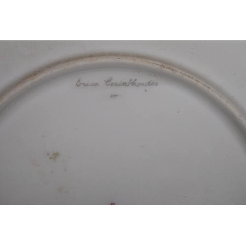 259 - Royal Worcester porcelain botanical cabinet plate, signed W Hale, c. early 20th century, with hand-p... 