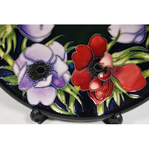 262 - Modern Moorcroft plate decorated with tube lined red and violet anemones with green stalks on a blue... 