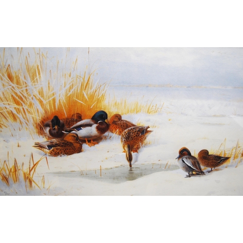 358 - After Archibald Thorburn (Scottish, 1860 - 1935)Mallard and TealSigned and dated, limited edition pr... 