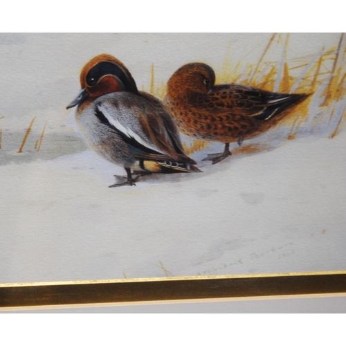 358 - After Archibald Thorburn (Scottish, 1860 - 1935)Mallard and TealSigned and dated, limited edition pr... 