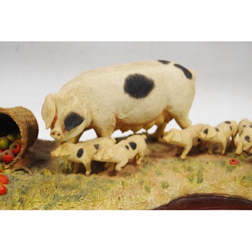 269 - Border Fine Arts group by Kirsty Armstrong modelled as a pig and piglets at baskets of apples, on a ... 