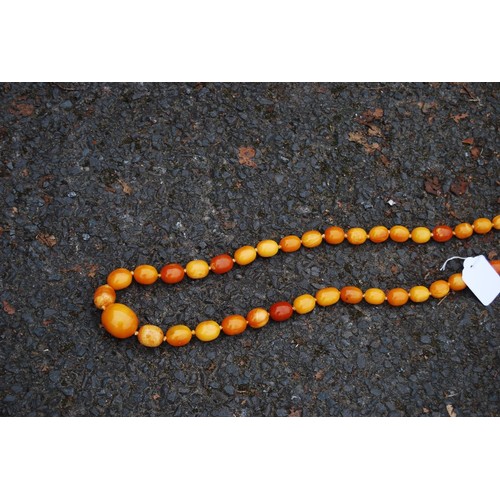 75 - Amber necklace of ovoid beads, 153g.