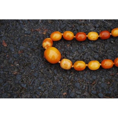 75 - Amber necklace of ovoid beads, 153g.