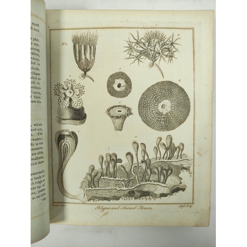 306 - SIBLY E.  A Key to Physic and the Occult Sciences with Appendix to Culpeper`s British Herbal. Eng. f... 