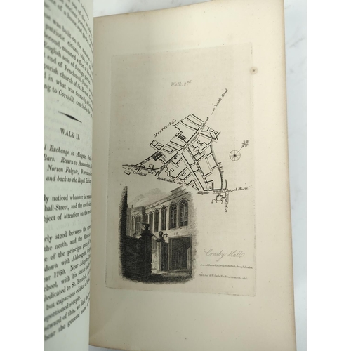 211 - HUGHSON DAVID. Walks through London including Westminster and the Borough of Southwark ... Form... 