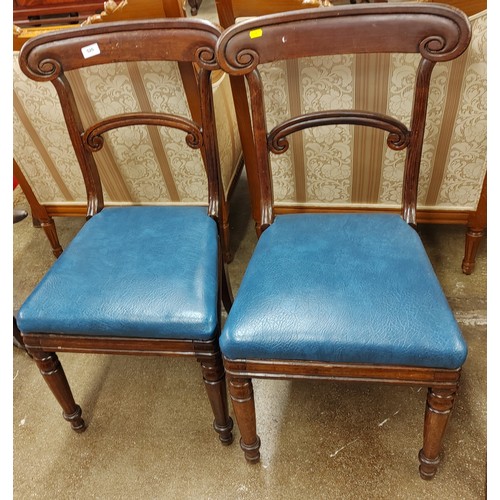 520 - Pair of Victorian dining chairs with blue leather seats