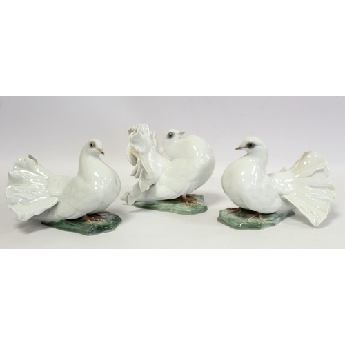 269 - Three German Rosenthal porcelain figures of fantail doves, modelled by Fritz Heidenreich, model nos.... 