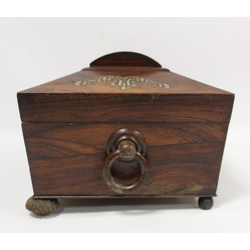 292 - Early 19th century Regency rosewood workbox of twin handled sarcophagus form on four reeded bun feet... 