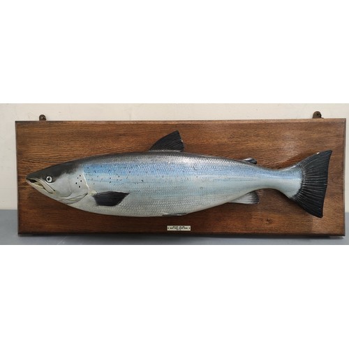 539 - Angling. Carved and painted wood model of a salmon. 