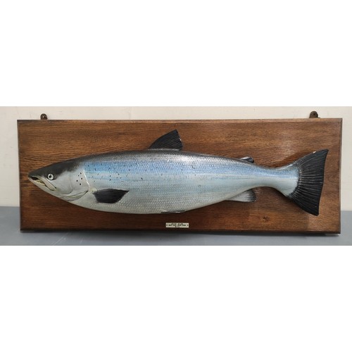 539 - Angling. Carved and painted wood model of a salmon. 