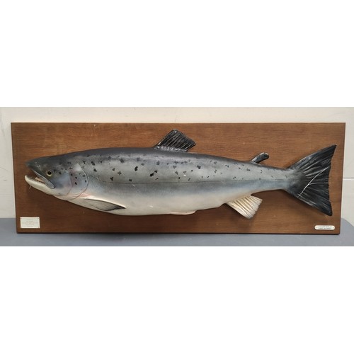 540 - Angling. Carved and painted wood model of a salmon by Rowland Ward. 