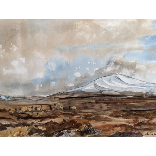 454 - ANNE MUNN, sheep in a Scottish Highlands landscape, watercolour, signed lower right, 34cm x 52cm, fr... 